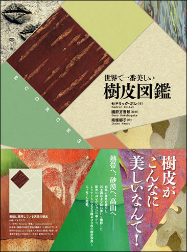 世界で一番美しい樹皮図鑑