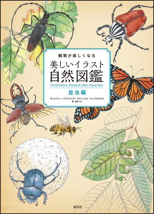 観察が楽しくなる美しいイラスト自然図鑑　昆虫編