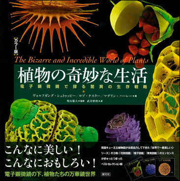 カラー版 植物の奇妙な生活