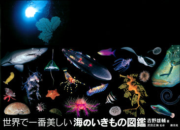 世界で一番美しい海のいきもの図鑑