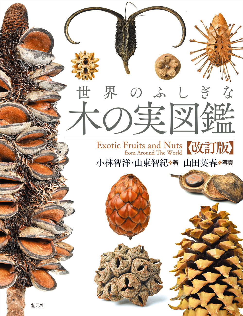 世界のふしぎな木の実図鑑【改訂版】