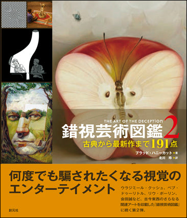 錯視芸術図鑑２
