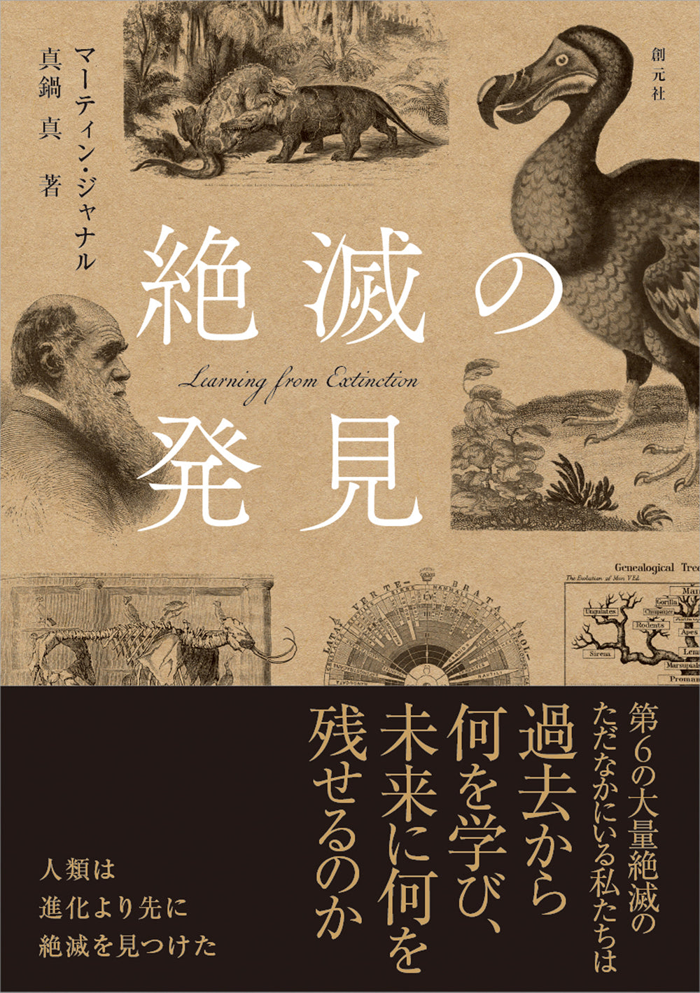 絶滅の発見